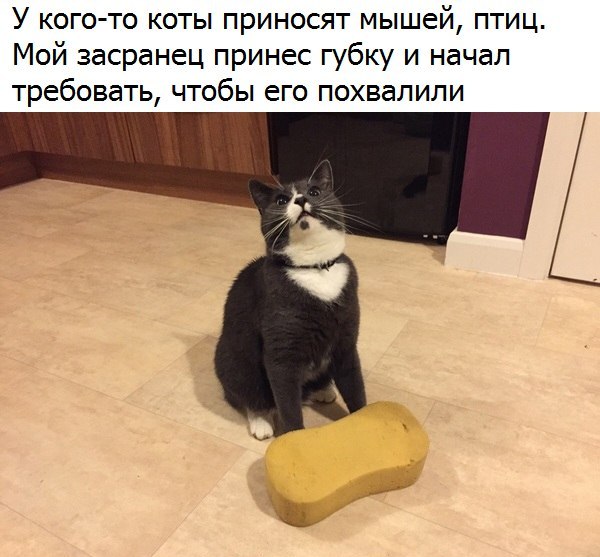 Немного картинок для настроения 29.01.20