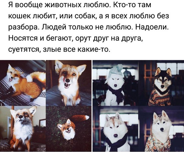 Немного картинок для настроения 11.02.20