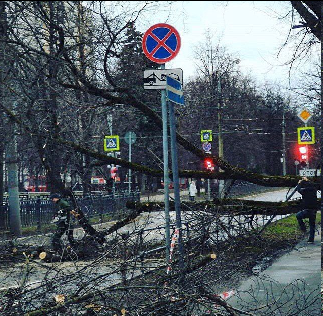 "Лютый ветер в Москве" и его последствия