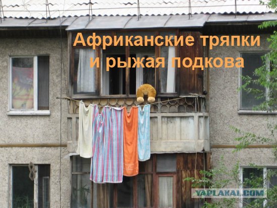 Конкурс: подпись к картинке