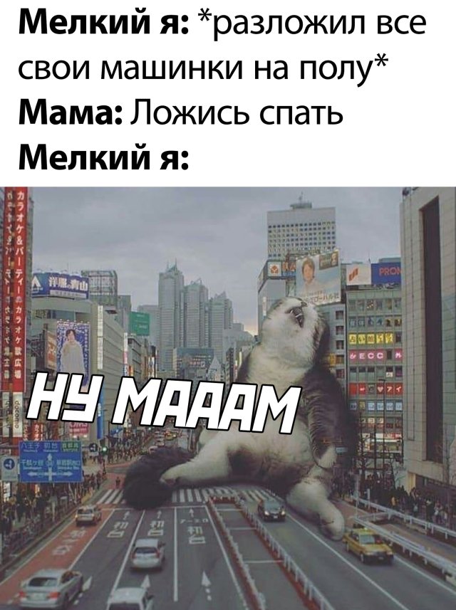Чуток картинок 26.05.20