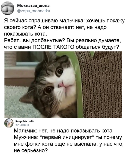 Моя подборка картинок для любимого сайта с любимого сайта