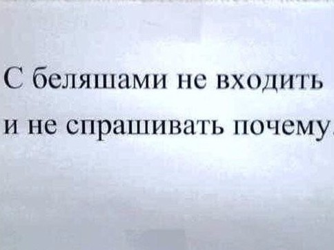 Замглавы Минэнерго объяснил, почему бензин не дешевеет вместе с нефтью
