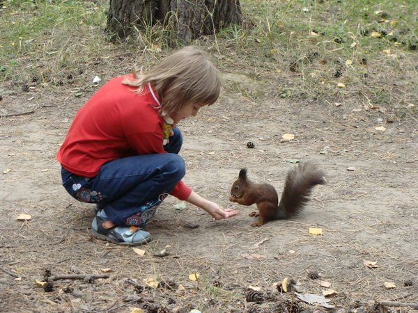 Бесстрашные белки