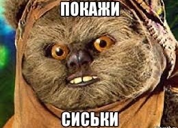 Никто ничего не обязан