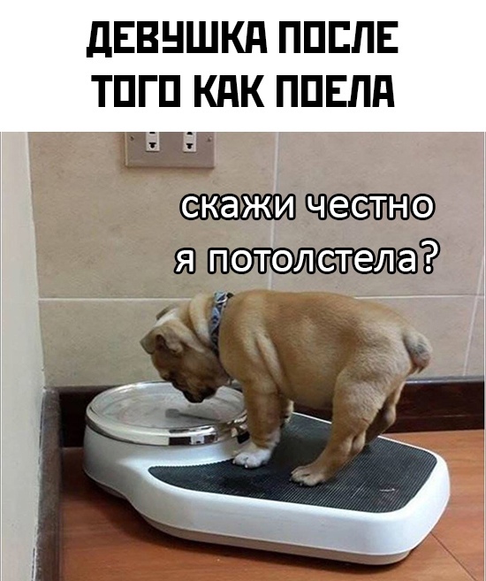 Картинки и мемы для настроения 008