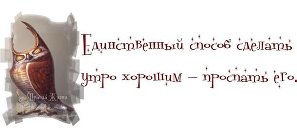 Пятница. Вечер. Картинки всякие #11