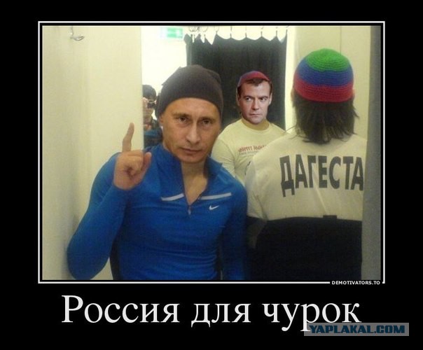 Мигранты напали на две семьи в Ленобласти.
