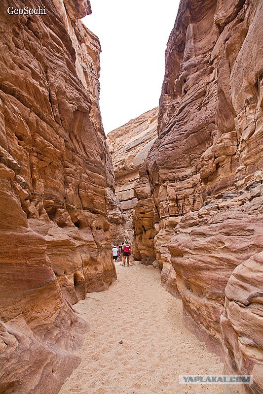 Синайские приключения. Шарм-эш-Шейх и окресности