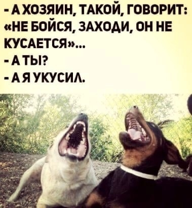 Так себе картинки 01.02.23