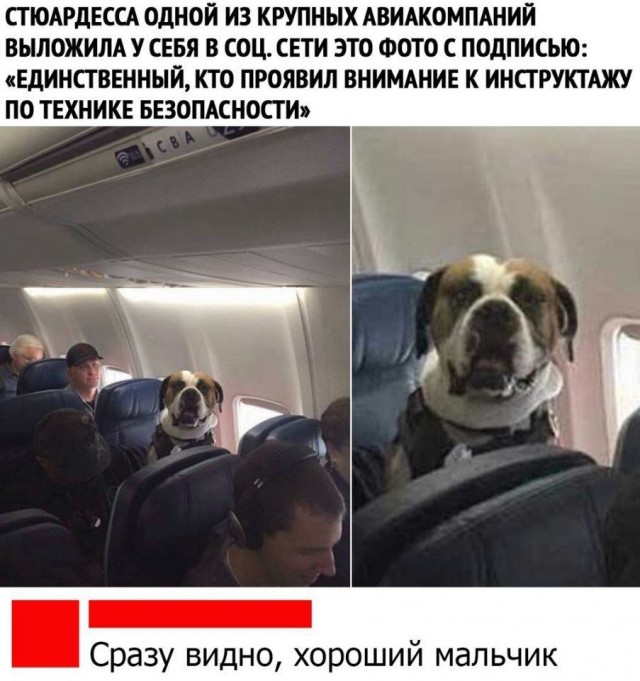 Картинки и мемы, это май-чародей всяко разно - 177