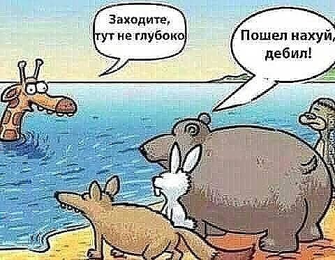 Прикольные и просто красивые картинки 27.10.2023