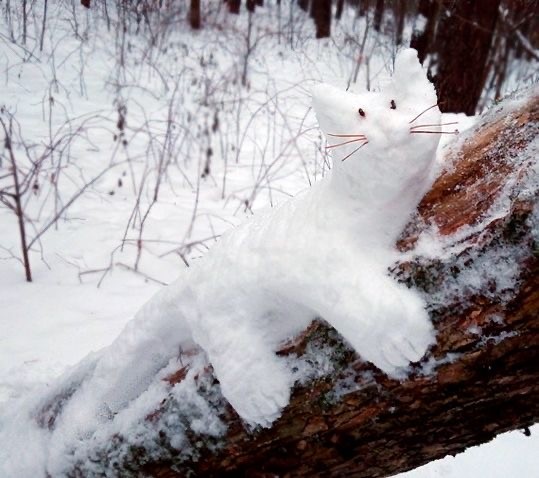 Котики из снега и котики на снегу