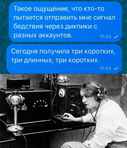 Весёлый полтишок 13.02.24