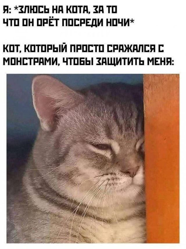Доставка баянов
