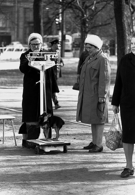Фотографии из прошлого нашей страны - 55