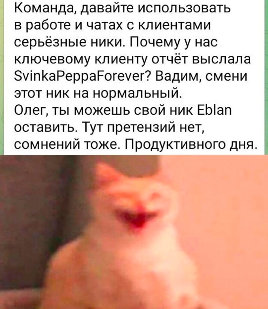 Весёлый полтишок 08.04.24