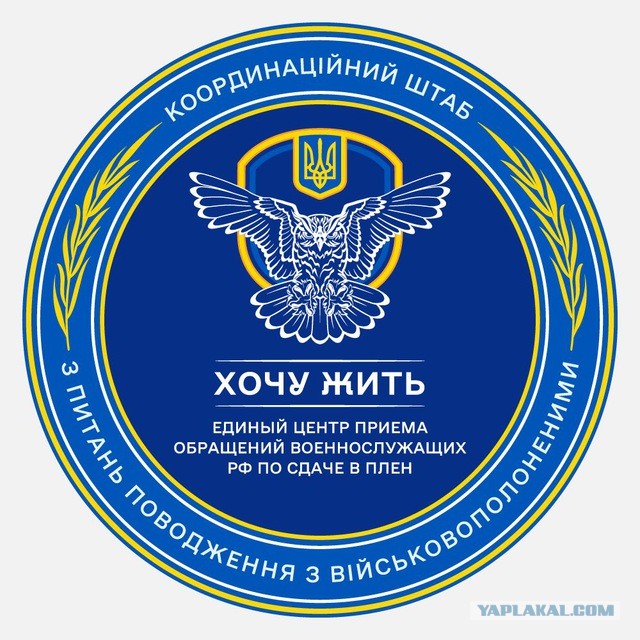 Ахмат в плену?