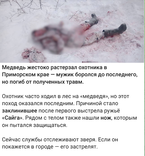 Почему охотники в Сибири оружие в избушку не заносят