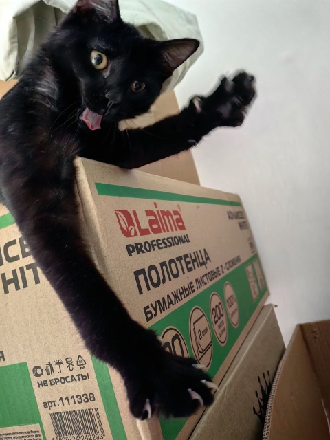 Я больше не раб :(