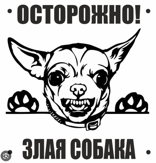 О женском смехе