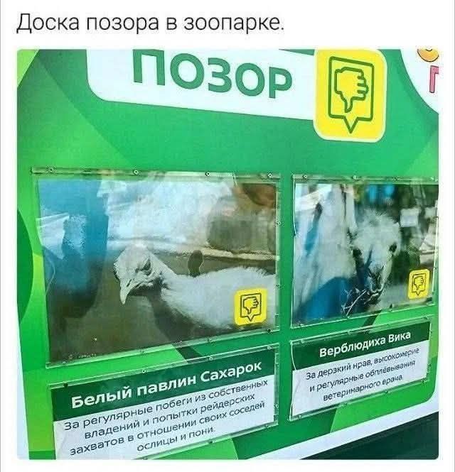 Завалялось тут случайно немного забавных картинок