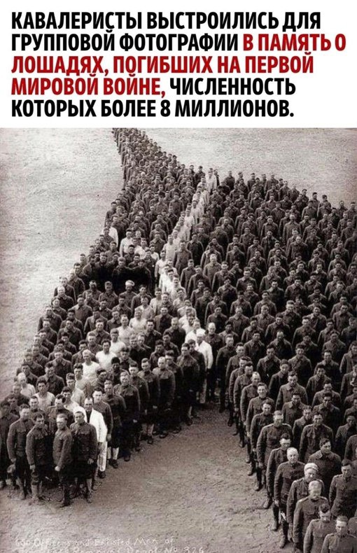Так себе картинки 22.06.25