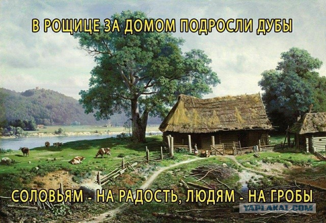 Начинайте свой день с чего-то положительного