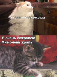 Игра слов — это словесный вираж в смешных каламбурах