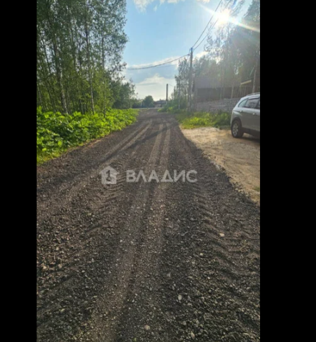 Под Пушкино жители села Тишково-Спасское не могут подъехать к своим участкам