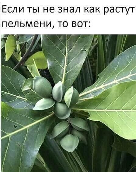 Куча мала 8