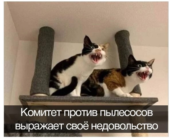 Веселые картинки в пятницу (16.01)