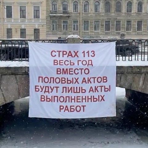 Мой кот