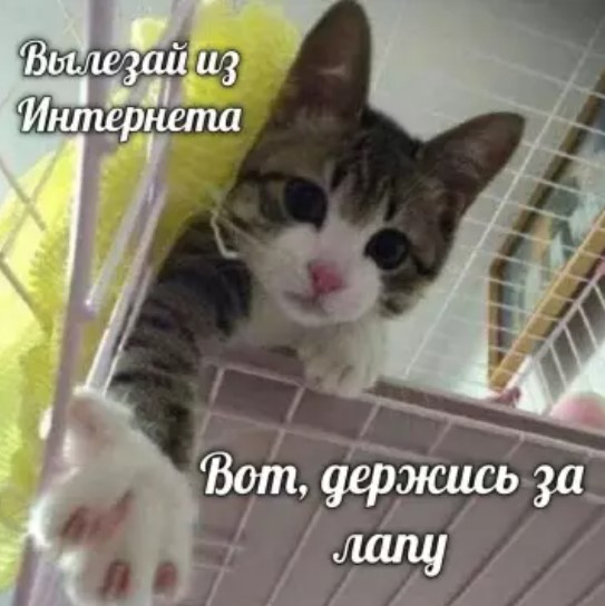 Картиночки, баянчики 19 марта