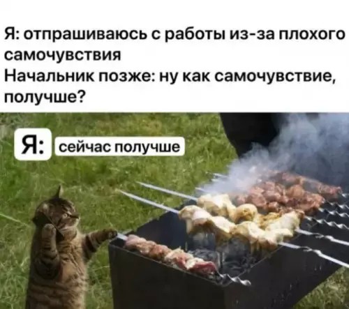 Так себе картинки 29.07.26