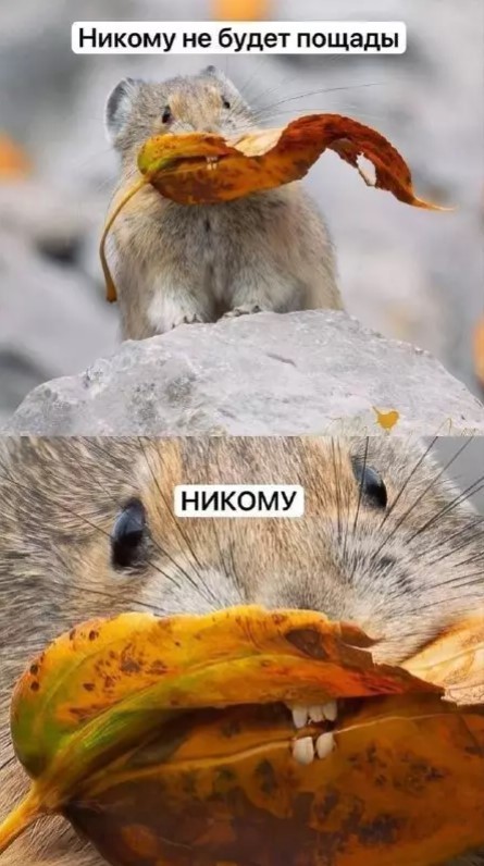 Веселое настроение в картинках 16.08.26