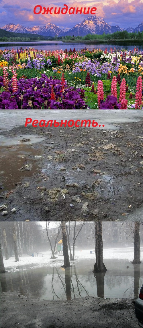 Просыпаешься такой утром...