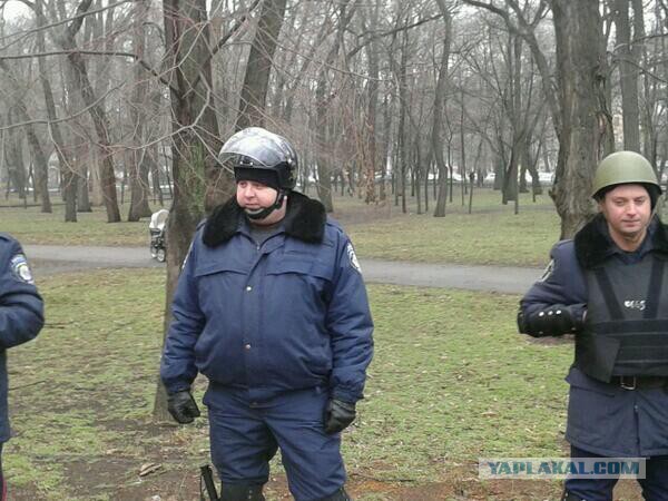 Беркут растрощил водителю автомобиль.