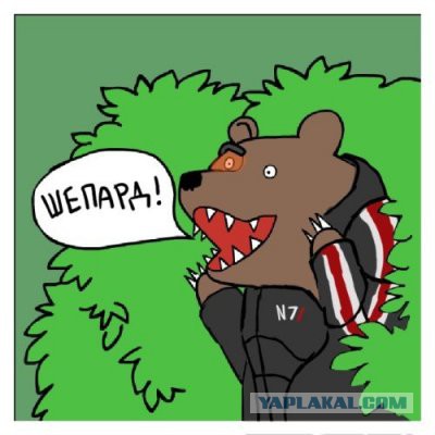 Медведи почти на все случаи жизни