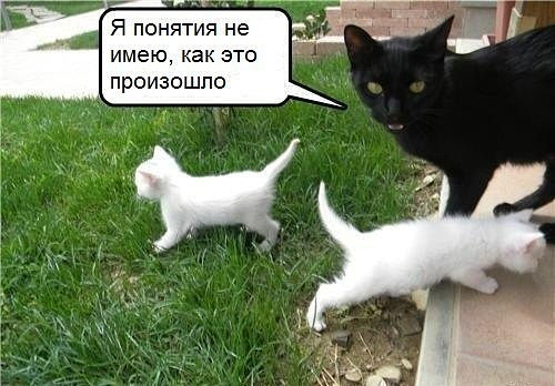 Веселые картинки.