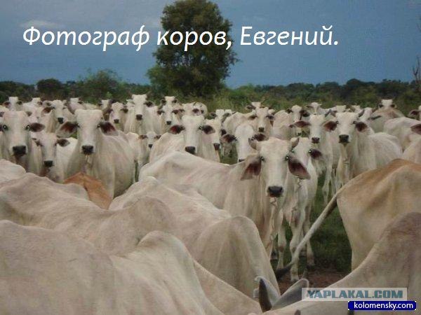 Фотограф с тремя восклицательными знаками