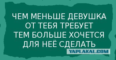 Хорошая жена. Применительно к жизни?