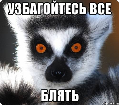 Улыбнуться в понедельник