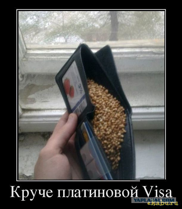 Картинки
