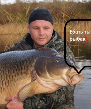 Размер
