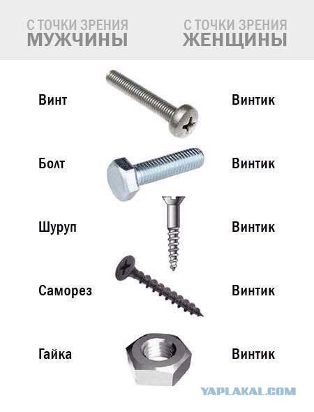 Веселые картинки