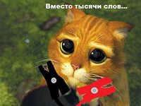 Авто юмор Часть 2.