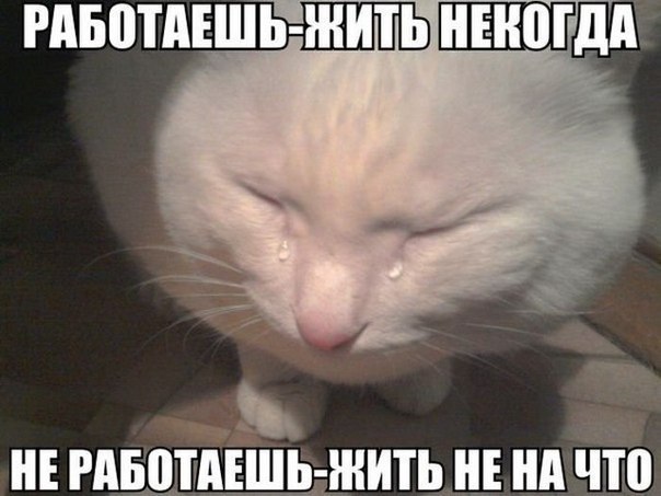 Весёлые картинки