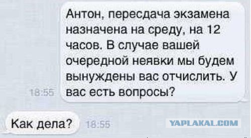 Смешные комментарии из социальных сетей