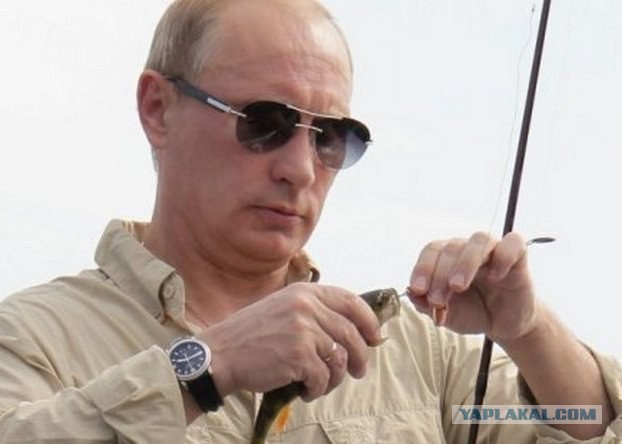 Истерия мировой прессы: куда пропал Путин?